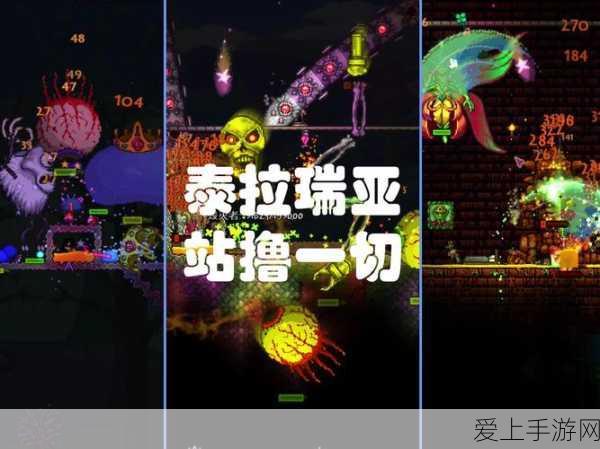 云道智造震撼发布，2024新品手游闪耀登场，用户大会精彩回顾