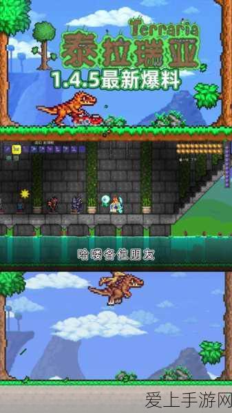 口袋妖怪红宝石3DS版，金手指秘籍大揭秘，助你征服精灵世界！
