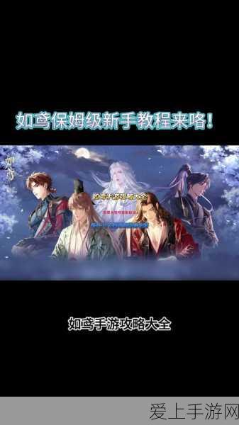 圣骑士加点攻略，打造地下城与勇士中的无敌守护者