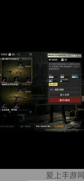 FGO阿比盖尔，深度剖析，揭秘其人气爆棚的奇妙之旅