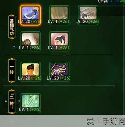 暗黑破坏神2，德鲁伊纯狼流技能全解析，变身与召唤战术深度剖析