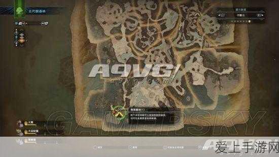 闪翼拳皇，Dreamwings格斗盛宴，解锁全新竞技体验