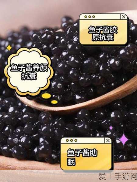 幻兽世界新挑战，帕鲁空涡龙高效捕捉全解析