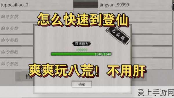 手游攻略,打造鬼谷八荒顶级登仙道侣秘籍