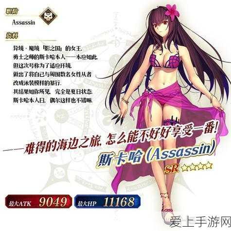 探索 HTML 网页设计的必备软件，HTML5 时代的精彩选择