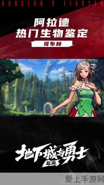 DNF手游探索,揭秘哥布林金库的神秘入口与攻略