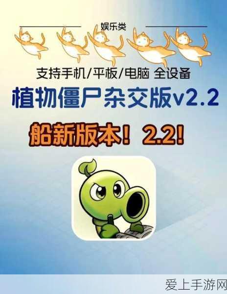 火影女忍传奇，巾帼不让须眉的忍者大赛盛况