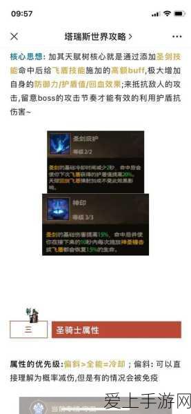 圣骑士荣耀,塔瑞斯世界圣骑士技能深度剖析与实战应用