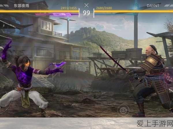 暗影格斗3,揭秘这款风靡全球的动作格斗手游背后的国家
