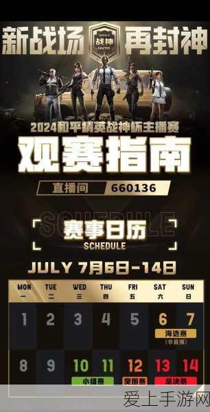免费直播盛宴,深入刺激战场,共赏顶尖玩家激情对决!