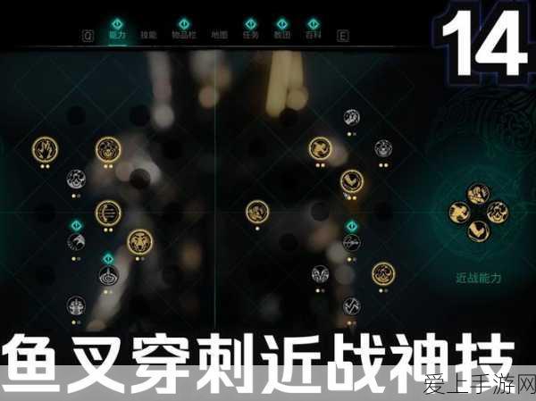 刺客信条兄弟会第六章,终极攻略与游戏技巧大揭秘