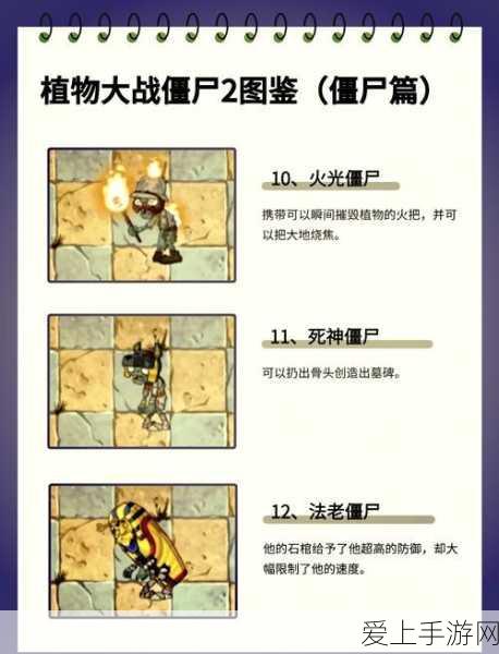 埃及战场终极策略,植物大战僵尸2中文版第三天保卫战详解